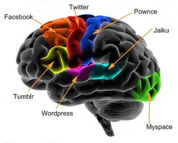 diagramme cerveau réseaux sociaux
