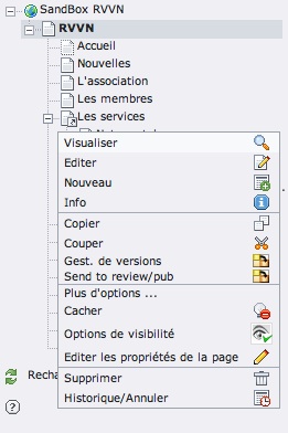 Page tree context menu TYPO3