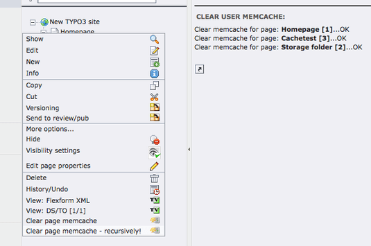 remove-memcache-TYPO3